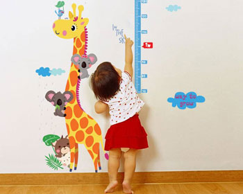 超声探花视频在线仪