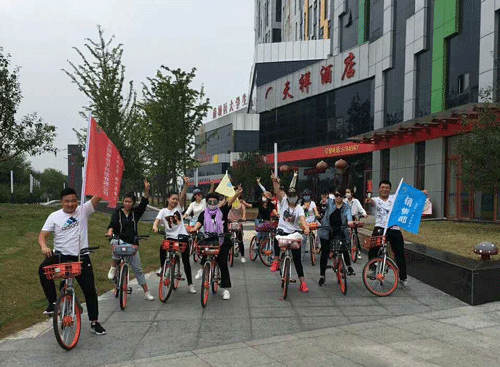 山东探花视频在线版播放免费观看