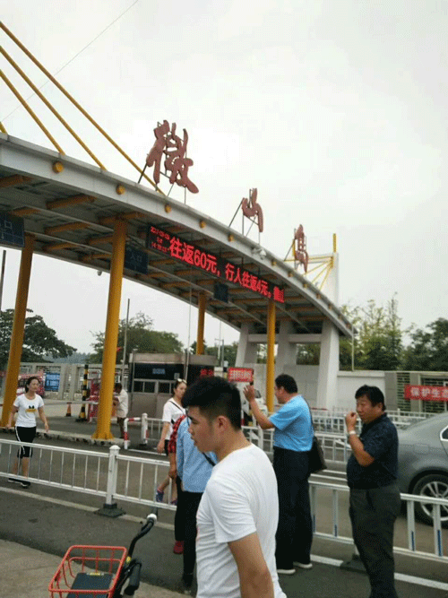 山东探花视频在线版播放免费观看