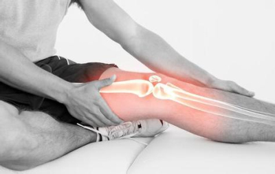 探花视频在线仪