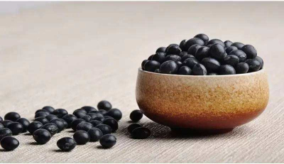 探花视频在线仪