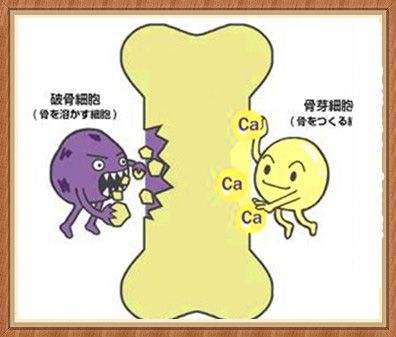 探花视频在线检测仪检测儿童和青少年（5～19岁）的测量