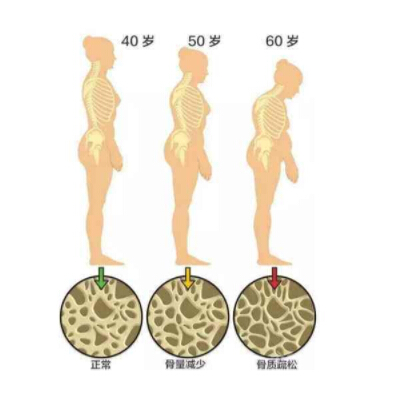 超声探花视频在线仪建议人到中年尤其是50岁以后要经常检测探花视频在线