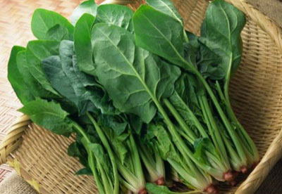菠菜菠菜菠菜贱卖探花视频在线仪厂家介绍菠菜中的维生素K具有促进骨钙形成的强大功效