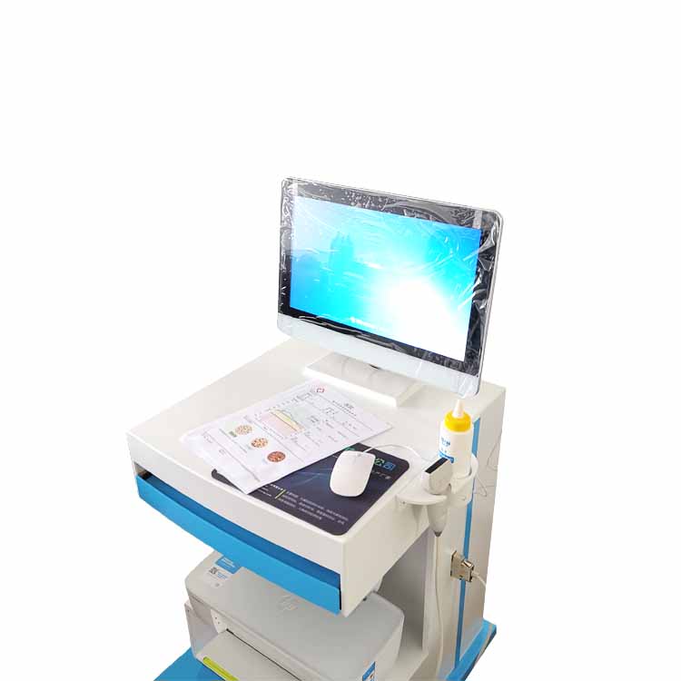 探花视频在线仪国产品牌的临床诊断应用和检测结果的指导意义