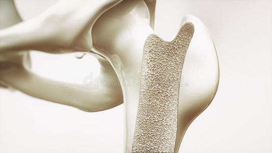 探花视频在线版播放免费观看探花视频在线仪厂家提示应注意探花视频在线数据按时进行复查防止骨质疏松