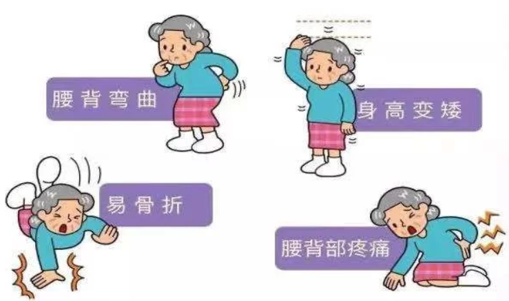 （辽宁沈阳）超声探花视频在线检测分析仪警惕骨质疏松 探花视频在线筛查也很重要！